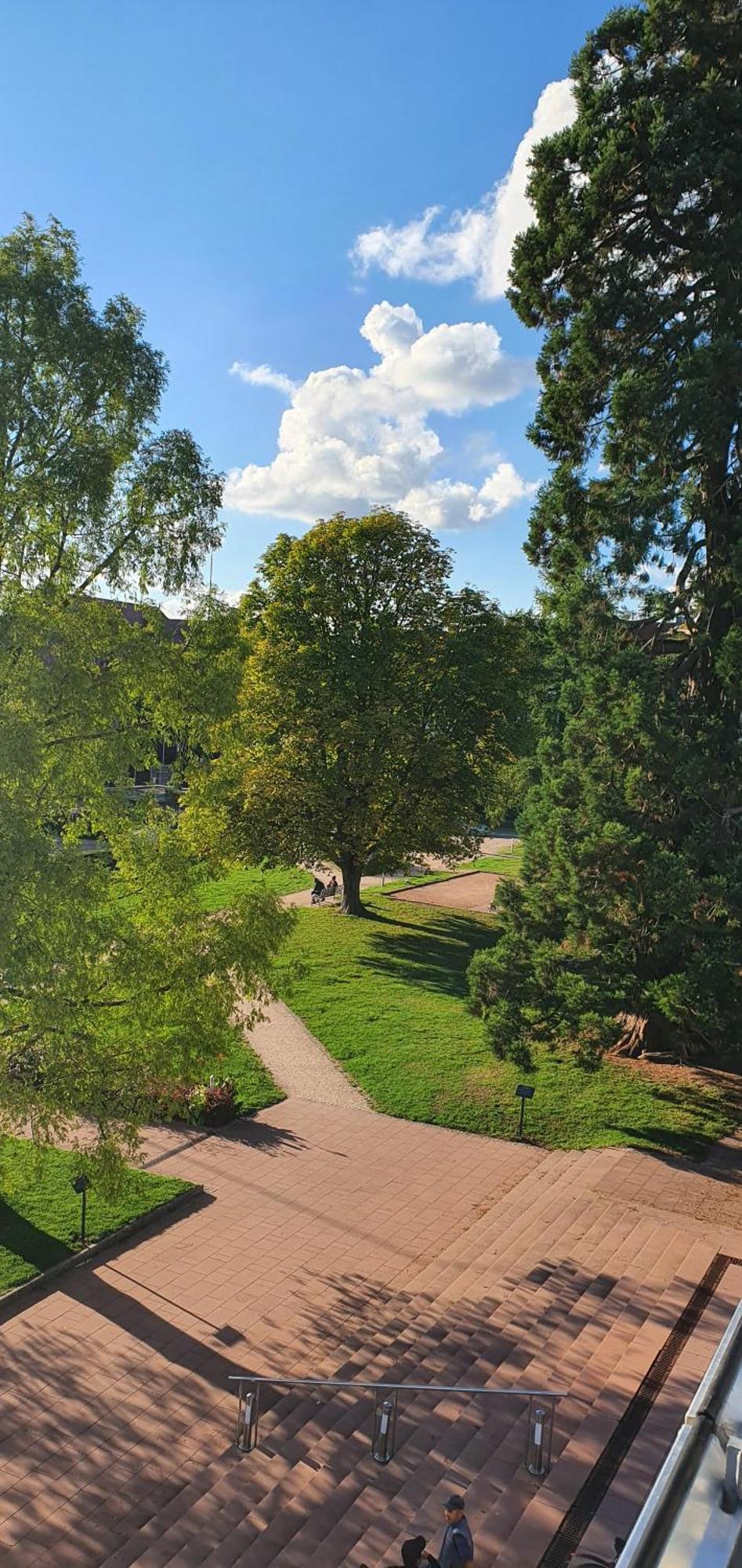 Haus Ludwig Daire Freudenstadt Dış mekan fotoğraf